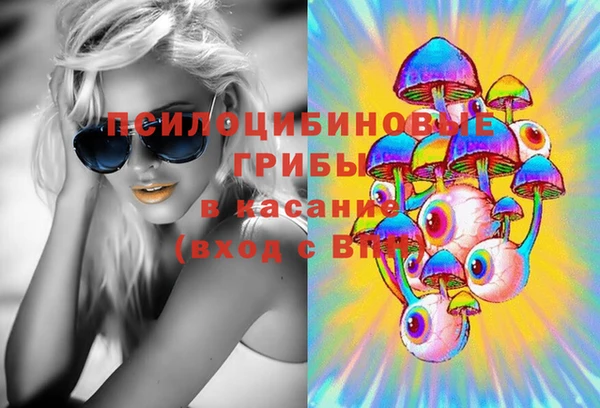 сатива Костерёво