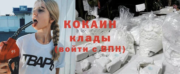 ПСИЛОЦИБИНОВЫЕ ГРИБЫ Козловка