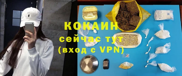 ПСИЛОЦИБИНОВЫЕ ГРИБЫ Козловка